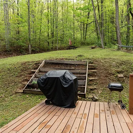 The Mountain Forager Cabin, Bryson City Nc Exterior photo