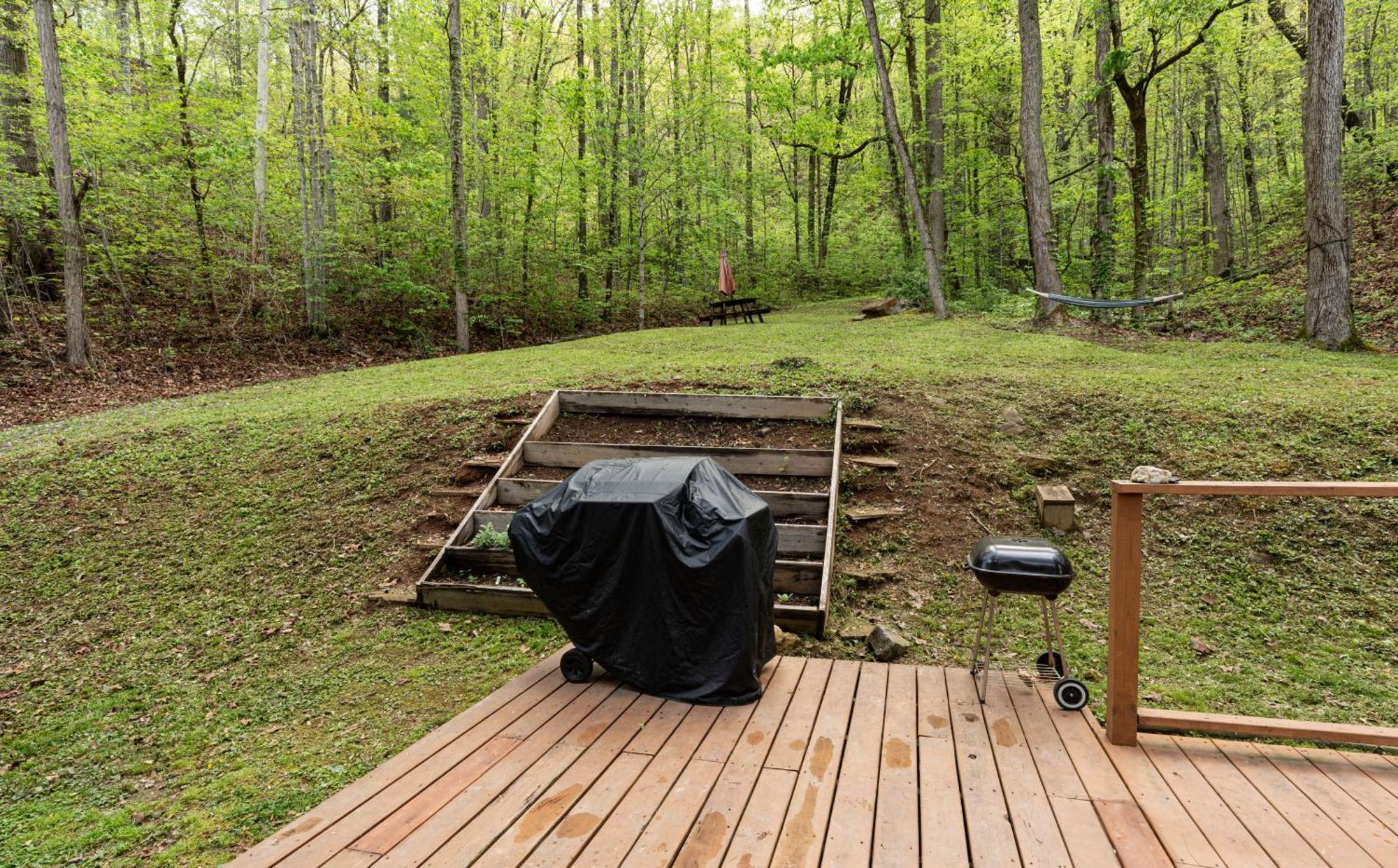 The Mountain Forager Cabin, Bryson Nc Bryson City