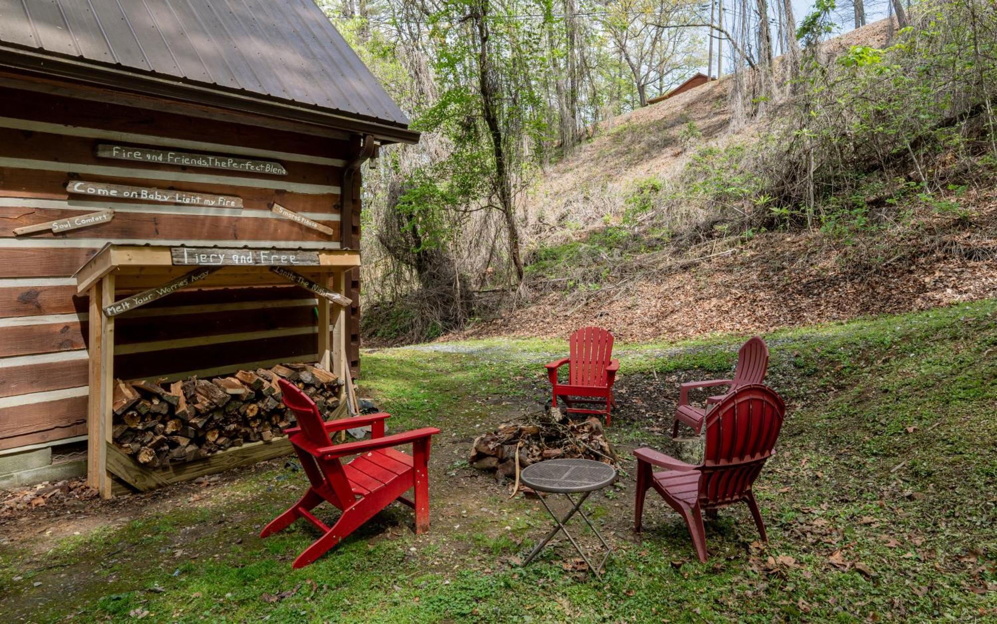 The Mountain Forager Cabin, Bryson Nc Holiday home