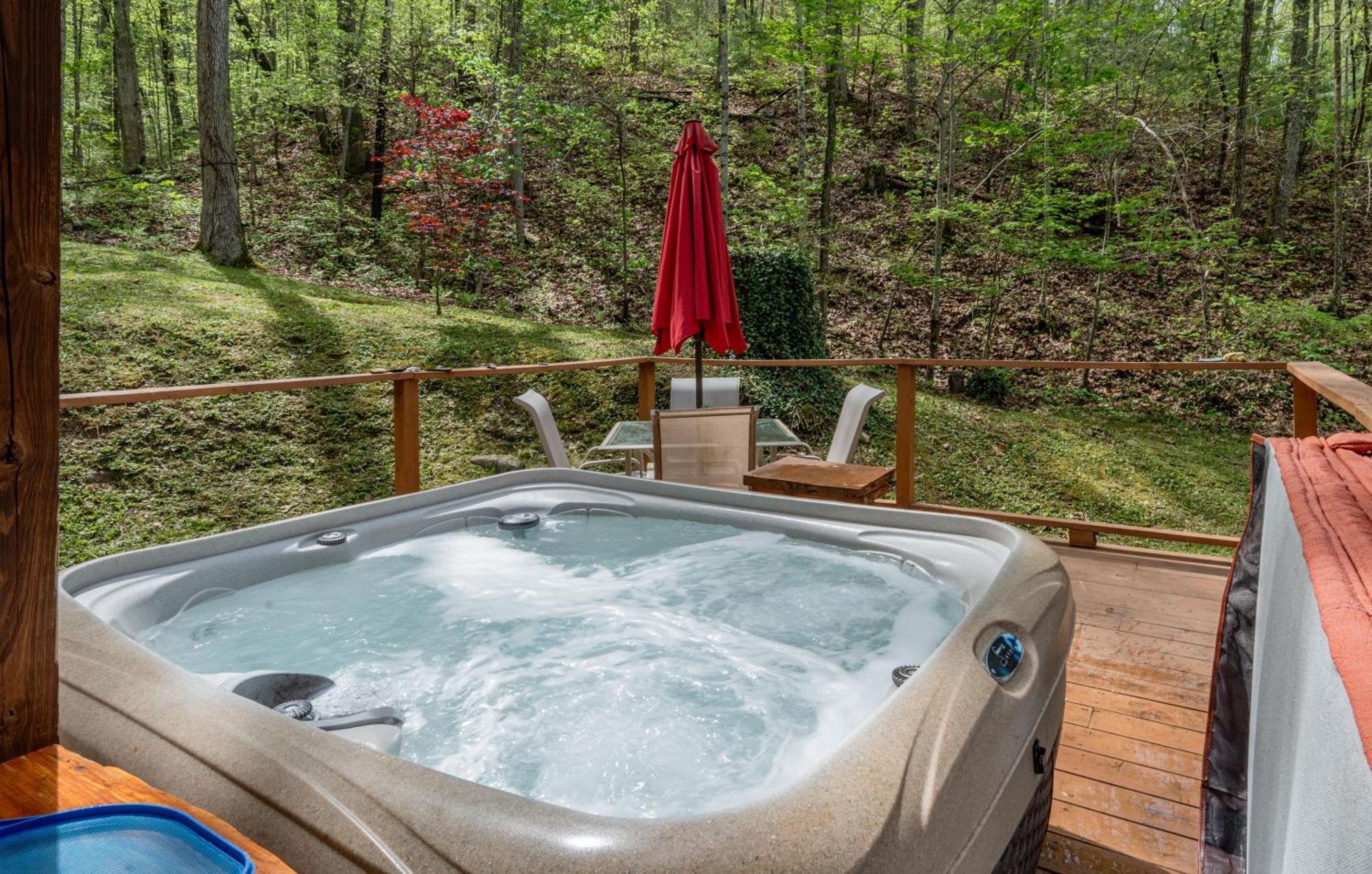 The Mountain Forager Cabin, Bryson Nc